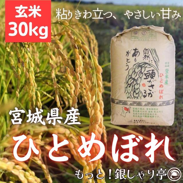 ご購入者全員にプレゼント 令和7年産 〈玄米 ひとめぼれ 30kg〉 宮城県産 米 お米 送料無料 安い