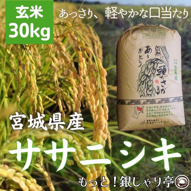 ご購入者全員にプレゼント 令和7年産 〈玄米 ササニシキ 30kg〉 宮城県産 米 お米 送料無料 安い 選べる米ぬか 米糠