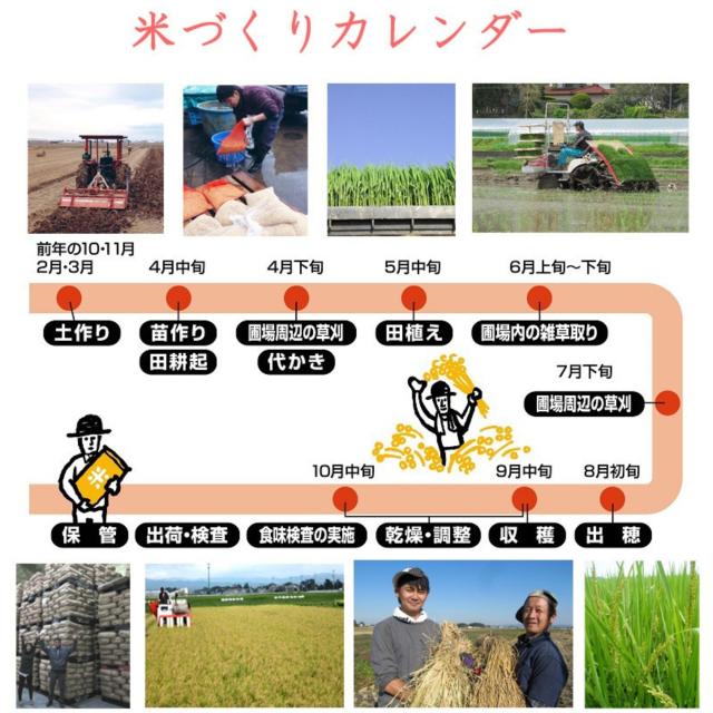 ご購入者全員にプレゼント 令和7年産 〈精米 だて正夢 10kg〉 宮城県産 米 お米 白米 (5kg×2袋) 選べる米ぬか 米糠 送料無料 安い ブランド米 10キロ_8