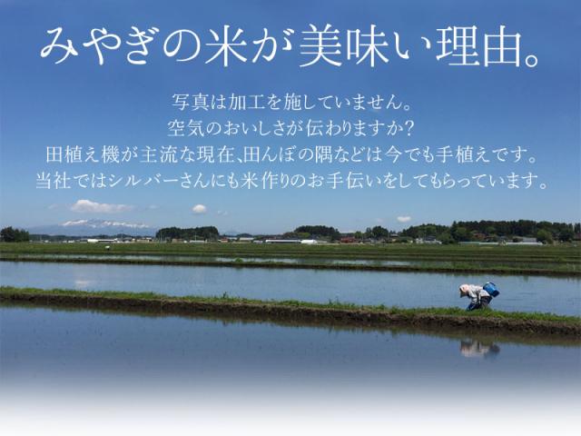 ご購入者全員にプレゼント 令和7年産 〈精米 だて正夢 10kg〉 宮城県産 米 お米 白米 (5kg×2袋) 選べる米ぬか 米糠 送料無料 安い ブランド米 10キロ_5