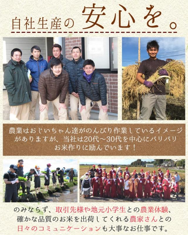 ご購入者全員にプレゼント 令和7年産 〈精米 だて正夢 10kg〉 宮城県産 米 お米 白米 (5kg×2袋) 選べる米ぬか 米糠 送料無料 安い ブランド米 10キロ_7