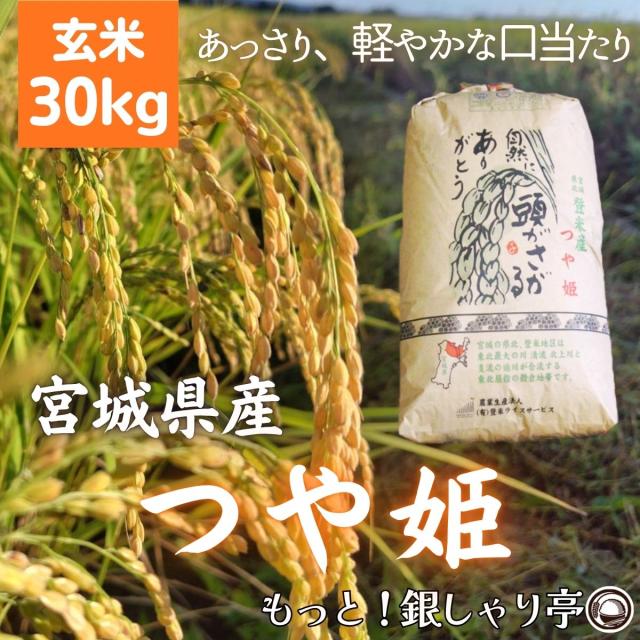 ご購入者全員にプレゼント 令和7年産 〈玄米 つや姫 30kg〉 宮城県産 米 お米 送料無料 安い 選べる米ぬか 米糠