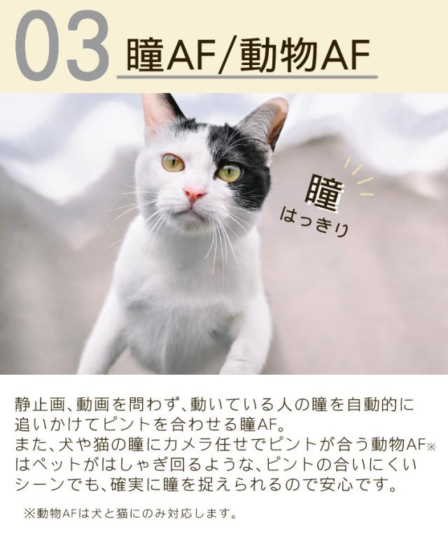 ニコン Nikon ミラーレス一眼カメラ Z fc 16-50 VR レンズキット APS-Cサイズ 2088万画素 Wi-Fi内蔵 ゼット Zfc（ラッピング不可）_4