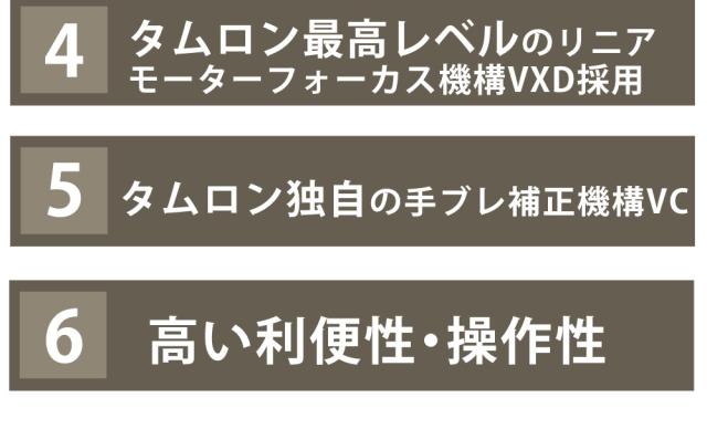 タムロン 28-300mm F4-7.1 Di III VC VXD ソニーE用 A074S （レビューでプレゼント）_2