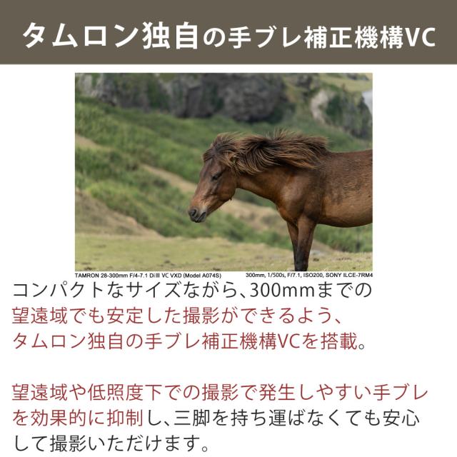 タムロン 28-300mm F4-7.1 Di III VC VXD ソニーE用 A074S （レビューでプレゼント）_7
