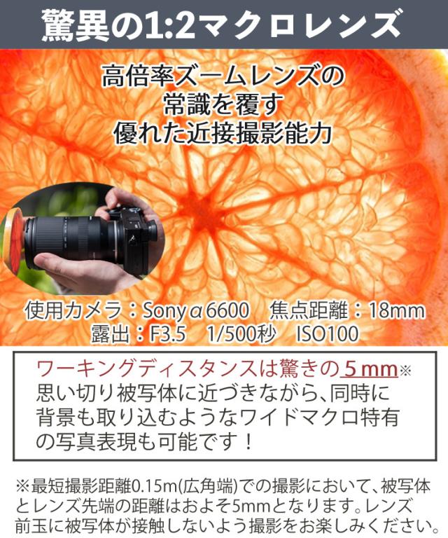 タムロン 18-300mm F/3.5-6.3 Di III-A VC VXD キヤノンRFマウント用 B061R （レビューでプレゼント）_9