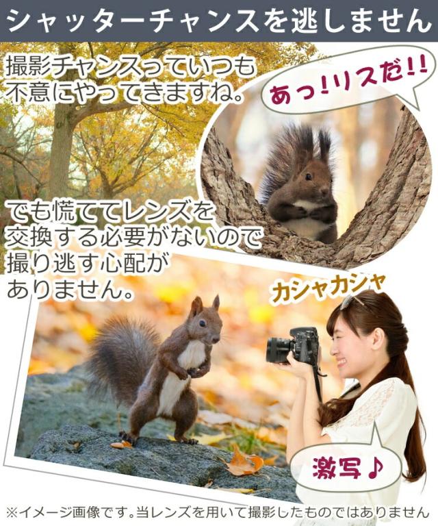 タムロン 18-300mm F/3.5-6.3 Di III-A VC VXD キヤノンRFマウント用 B061R （レビューでプレゼント）_8