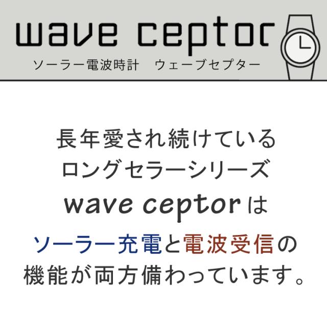 (置き時計セット)(国内正規品) CASIO ウェーブセプター ソーラー電波時計 WVQ-M410-7AJF＆DQD-805J-8JF(WVQM4107AJF) 電波/ホワイト/樹脂バンド/アナログ/新品_3