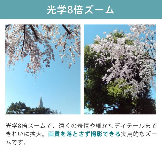 AGFA デジタルカメラ Realishot DC8300 ブラック シルバー レッド 光学8倍ズーム 軽量 コンデジ デジカメ コンパクト 旅行 （SDカード・クロス付）_11