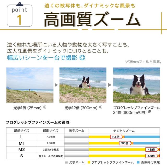 キヤノン デジタル写真器 IXY650M 黒いこと 小型 パウダーコンパクト 光学12倍望遠レンズ 手ブレ手を加える （SD等4点仕かける）