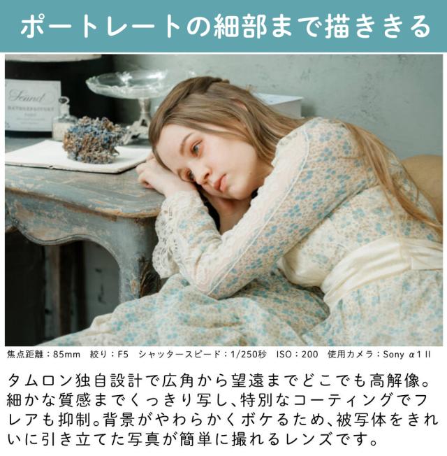 タムロン 25-200mm F/2.8-5.6 Di III VXD G2 ソニーEマウント用 A075S オプション付き4点セット_10