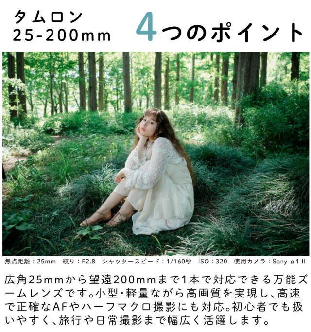 タムロン 25-200mm F/2.8-5.6 Di III VXD G2 ソニーEマウント用 A075S オプション付き4点セット_8