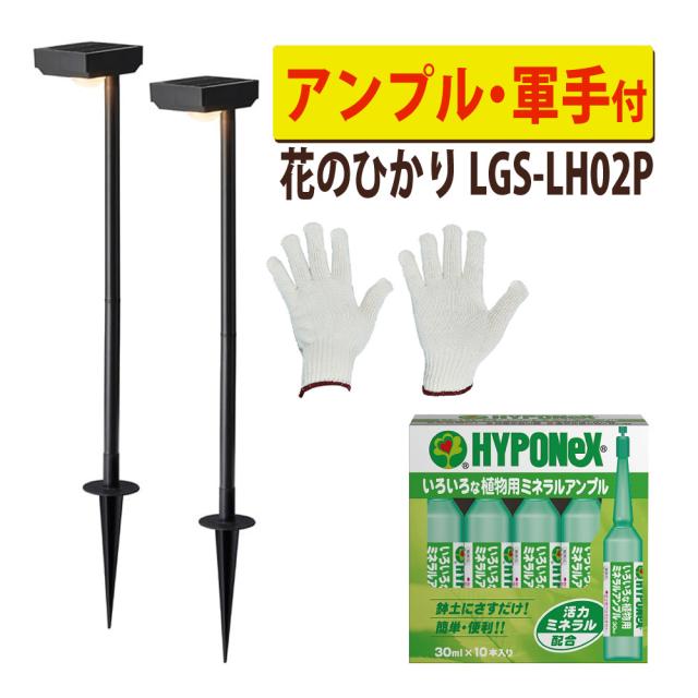 タカショー LGS-LH02P ブラック ひかりノベーション SUNCHARGE 花のひかり アンプル 軍手 セット（ラッピング不可）