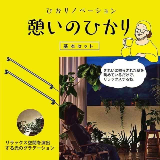 タカショー LGL-LH07P ブラック ひかりノベーション 憩いのひかり 基本セット 2本 ＋雨よけケース セット（ラッピング不可）_4