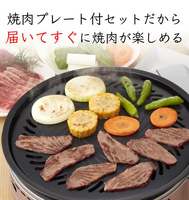 イワタニ テープコンロ 螺旋釘トロのはやりっ子足し加える 焼肉本塁 テープ屁っ放り 仕かける（ラッピング不可）