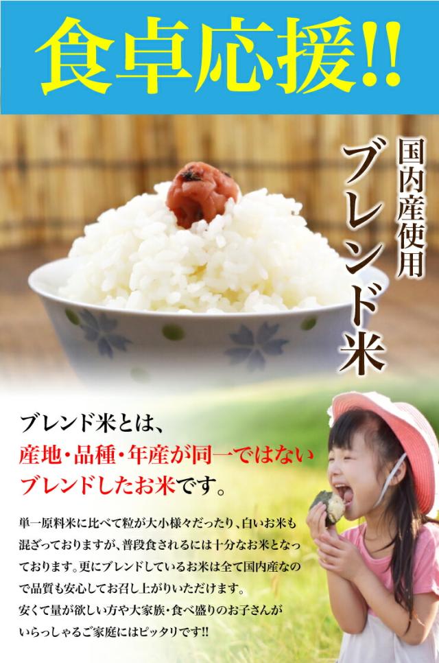 送料無料 ブレンド米 20kg 国内産複数原料米 10kg×2袋 白米 米 お米の