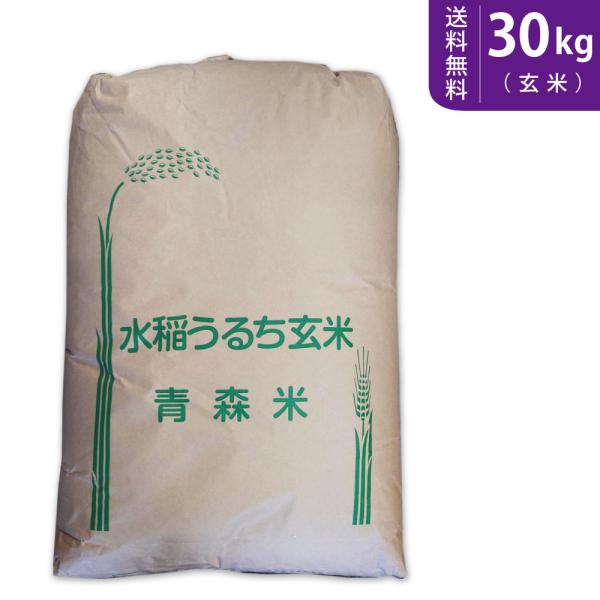 【送料無料(北海道・九州・沖縄除く)】令和7年産【玄米】青森県産はれわたり 30kg