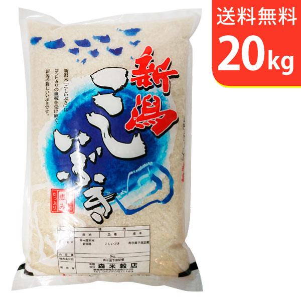 【送料無料(北海道・九州・沖縄除く)】令和7年産 新潟上越産こしいぶき 20kg
