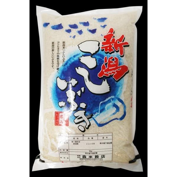 【送料無料(北海道・九州・沖縄除く)】令和7年産 新潟上越産こしいぶき 20kg_1