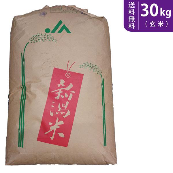 【送料無料(北海道・九州・沖縄除く)】令和7年産【玄米】 新潟県産新之助 30kg
