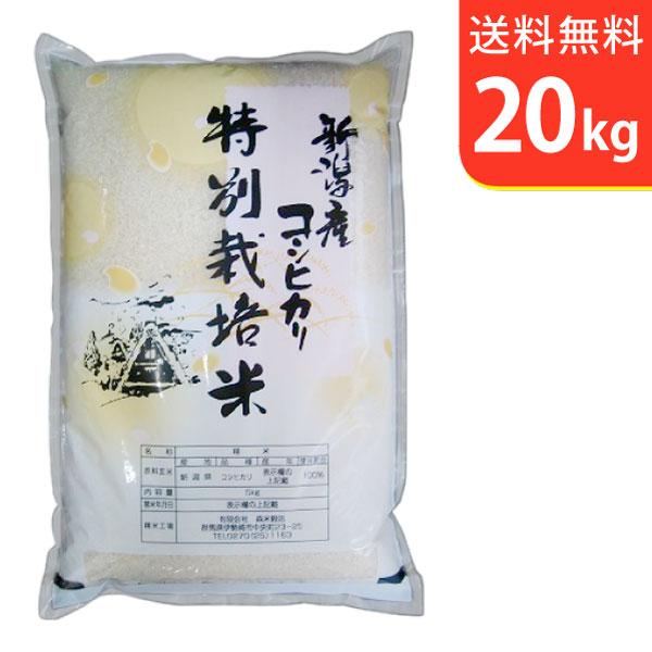 【送料無料(北海道・九州・沖縄除く)】令和7年産 【特別栽培米】  新潟県阿賀野産コシヒカリ 20kg
