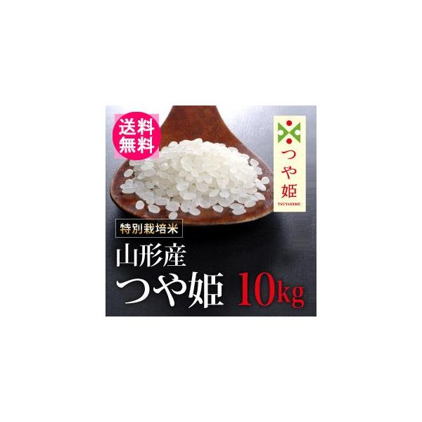 【送料無料(北海道・九州・沖縄除く)】令和7年産【特別栽培米】 山形県産つや姫 10kg