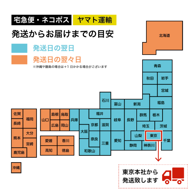 幅狭A 3E幅 編み上げ ブーツ 袴 歩きやすい ショート ランキング受賞 レースアップ 卒業式 日本製 本革 レディス 革靴 婦人靴 レトロ 卒業式 カジュアル クラシック おしゃれ お出かけ 10代 20代 30代 40代 50代 ルッシ2 HB006 ヒール 細幅_13