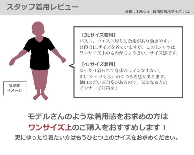 メール便対応 大きいサイズ レディース 半袖 Vネック Tシャツ インナー トップス カットソー おしゃれ 無地 白tシャツ フィットネス スポの通販はau Pay マーケット Janjamcollection