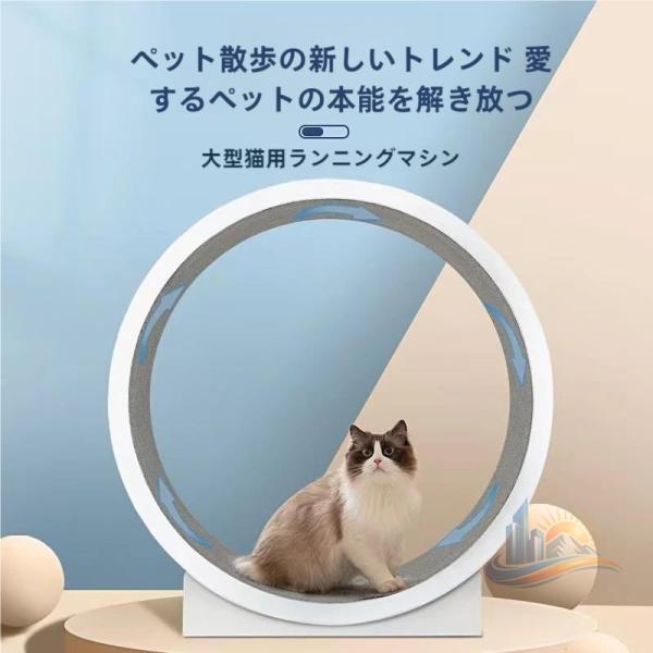 ペット用 ペット おもちゃ アドバンスト 室内 屋外 ペット用品 お手入れ簡単 快適 便利 使いやすい おしゃれ 新生活 家庭用 プレゼント 省スペース 実用的
