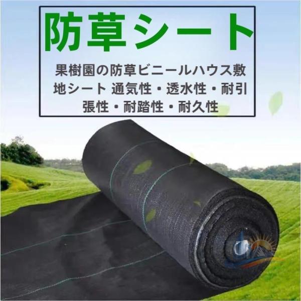 防草シート密度105 @@×100@@ @@@@ @@剤入ブラック105 おしゃれ 便利 実用的 アドバンスト 使いやすい 省スペース 新生活 家庭用 プレゼント ギフト 多用途