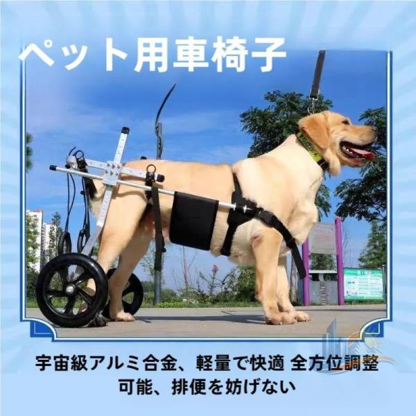 調整可能 大型犬の後ろ足用ペット用車椅子 の犬に適しています 犬用車椅子 用車椅子 アドバンスト おしゃれ 便利 実用的 使いやすい 省スペース 新生活