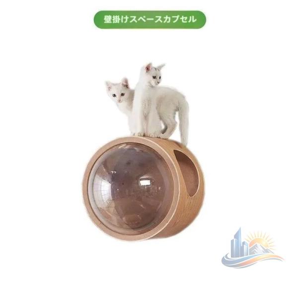 ペット 猫 木製 ベッド 透明 壁 清潔 持ち運び お手入れ簡単 安全 便利 旅行用 アドバンスト おしゃれ 使いやすい 実用的 省スペース 新生活 プレゼント 人気 8,258円