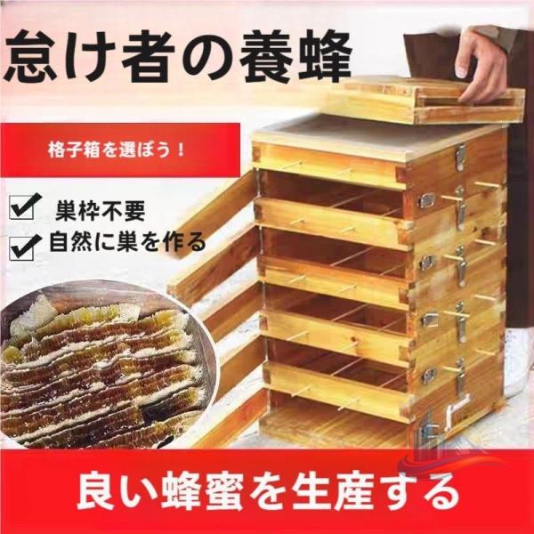 5階 蜜蜂巣箱 ミツバチ 重箱式 養蜂箱 杉材 蜂ハイブ 格子箱 煮蝋 蜜蜂飼育箱 アドバンスト 巣枠不要 自然造蜜 防水性と防食性 おしゃれ 使いやすい 便利