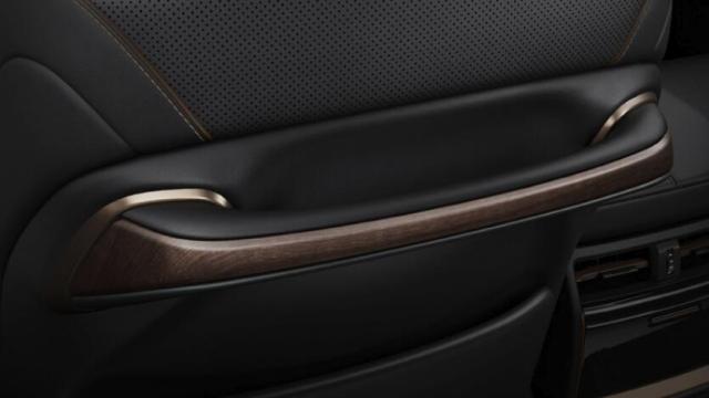 TOYOTA トヨタ 純正 アクセサリー パーツ ALPHARD アルファード アシストグリップ 0822C-58010 AAHH40W AAHH45W AGH40W AGH45W オプション