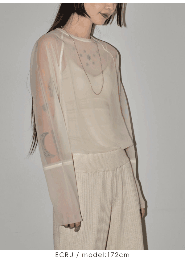 todayful Sheer Crewneck Pullover