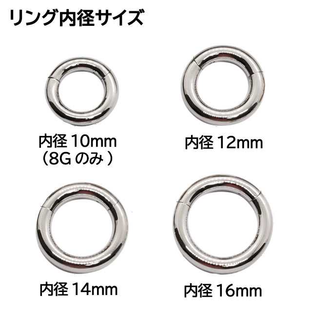 8G セグメント 内径16mm ワンタッチ ピアス 耳たぶ 軟骨 ボディ