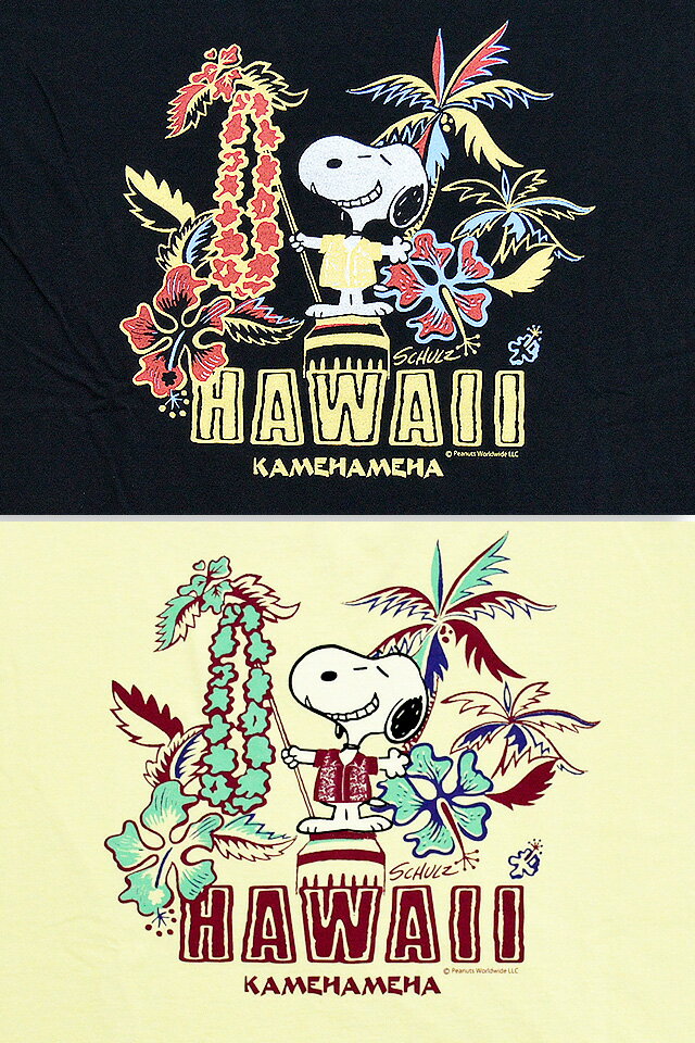 サンサーフ ピーナッツ スヌーピー 東洋エンタープライズ プリント Tシャツ SUN SURF[サンサーフ]×PEANUTS[ピーナッツ] Tシャツ スヌーピー SNOOPY