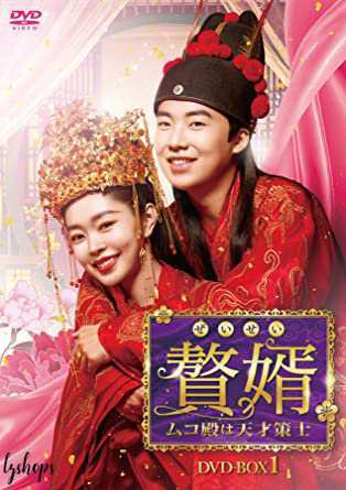 全巻セット【中古】DVD▼偶然見つけたハル(16枚セット)第1話～第32話 最終 字幕のみ レンタル落ち 偶然見つけたハル 全16枚 第1話～第32話 最終【字幕】 レンタル