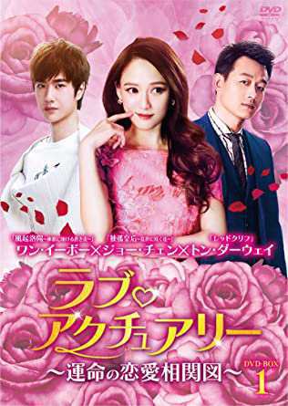 中国ドラマ/ ラブ・アクチュアリー ?運命の恋愛相関図?-第1話?第15話- (DVD-BOX 1) 日本盤　人間至味是清歓　LOVE ACTUALLYの通販は