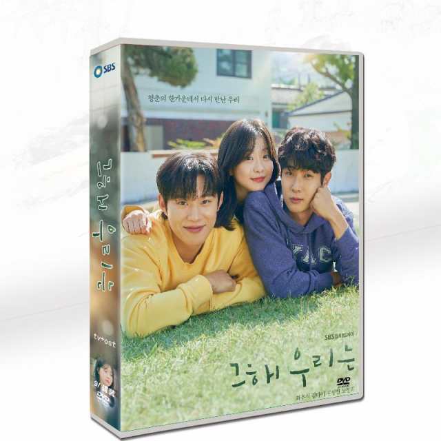 韓国ドラマ 韓国語 「その年、私たちは」 チェ・ウシク/キム・ダミ 9枚組 DVD ボックス TV+OST 日本語字幕 全16話を収録した 【送料無料】の通販は 6,950円