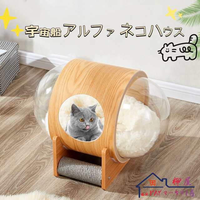 キャットウォーク 木製 壁 猫ハウス 猫用 猫家具 ベッド キャットハウス