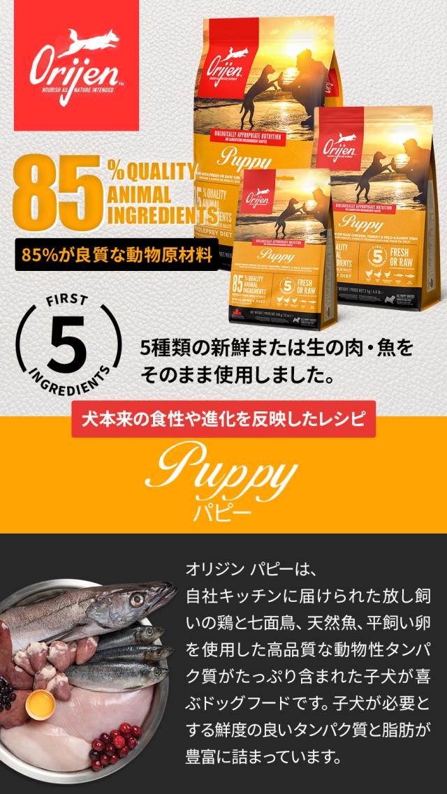 【沖縄以外送料無料】オリジン パピー 6kg （カナダ産）_1
