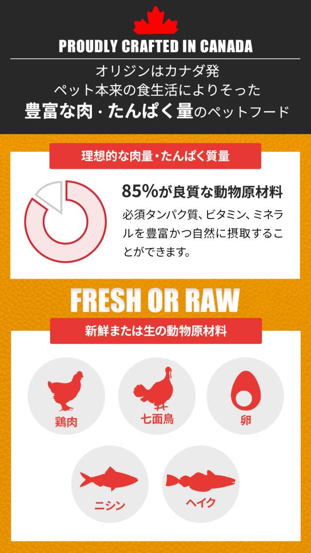【沖縄以外送料無料】オリジン パピー 6kg （カナダ産）_2