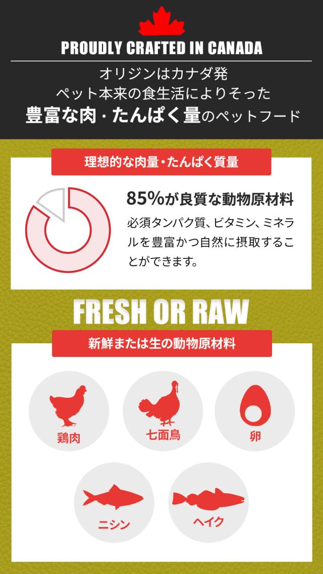 【沖縄以外送料無料】オリジン シニア 11.4kg_2