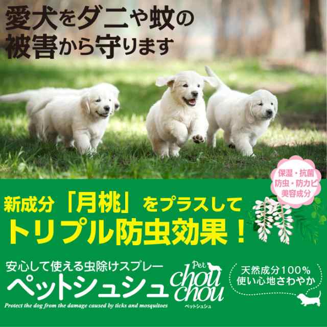 Petchouchou ペットシュシュ ペット用虫除けスプレー 詰替パウチ 500ml 犬 虫除け 虫よけ スプレー アロマの通販はau Pay マーケット ドッグパラダイスぷらすニャン