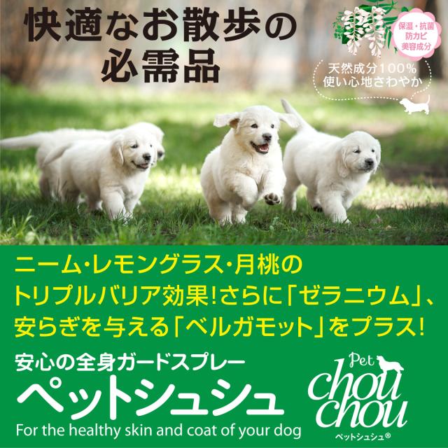 Petchouchou ペットシュシュ ペット用虫除けスプレー 0mlスプレー 犬 虫除け 虫よけ スプレー アロマの通販はau Pay マーケット ドッグパラダイスぷらすニャン Petchouchou ペットシュシュ ペット用虫除けスプレー 0mlスプレー 犬 虫除け 虫よけ スプレー アロマの通販はau Pay マーケット ドッグパラダイスぷらすニャン