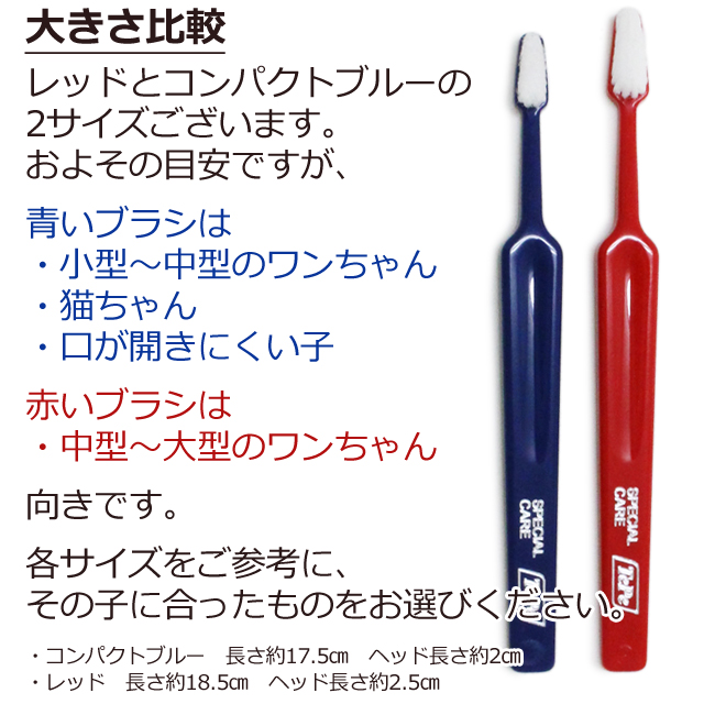 【沖縄以外送料無料】Tepe テペ 歯ブラシ スペシャルケア レッド×10本(yam)