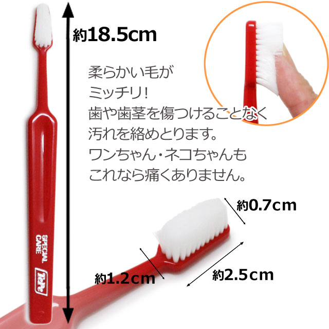 【沖縄以外送料無料】Tepe テペ 歯ブラシ スペシャルケア レッド×10本(yam)