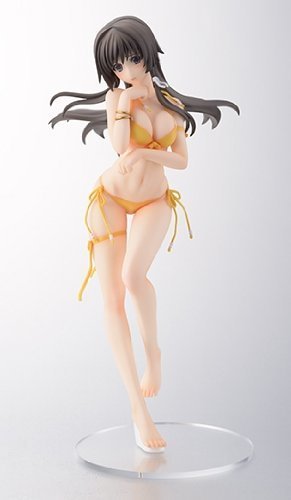 マブラヴ オルタネイティヴ トータル・イクリプス 篁唯依 恥じらいの浜辺 1(中古品)