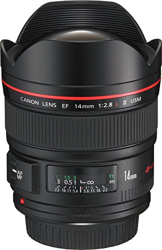 Canon 単焦点広角レンズ EF14mm F2.8 L II USM フルサイズ対応(中古品)